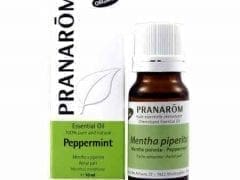 Essential oil of Peppermint