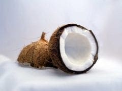 coconut