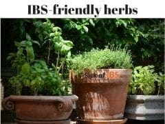 IBS friendly herbs