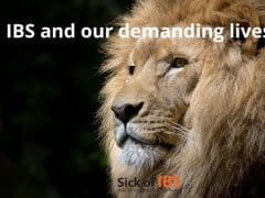IBS chaos in our demanding lives