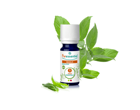 essential oil of basil