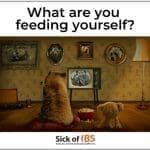what are you feeding yourself