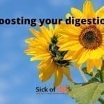 boost digestion