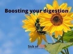 boost digestion