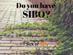 Gut health issues SIBO, Candida or Leaky Gut