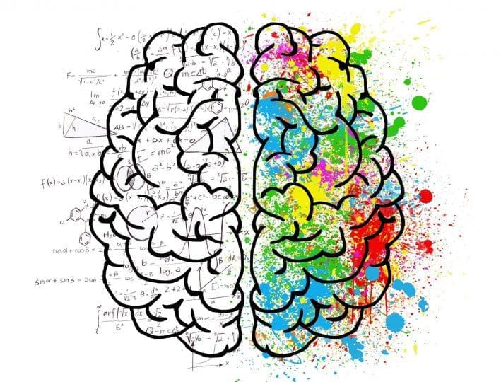 Using our two brain hemispheres