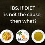 What if diet does not directly cause IBS?