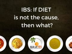 What if diet does not directly cause IBS?