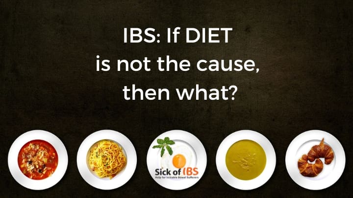 What if diet does not directly cause IBS