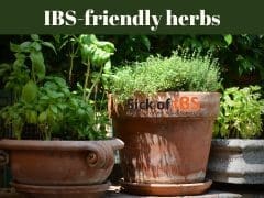 Herbs to support IBS