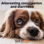 IBS-A alternating constipation and diarrhoea