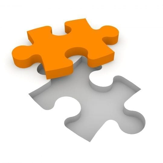 IBS puzzle