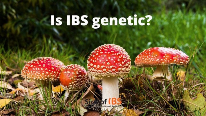 Is IBS genetic? Can IBS run in the family?