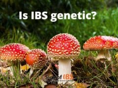 Is IBS genetic?