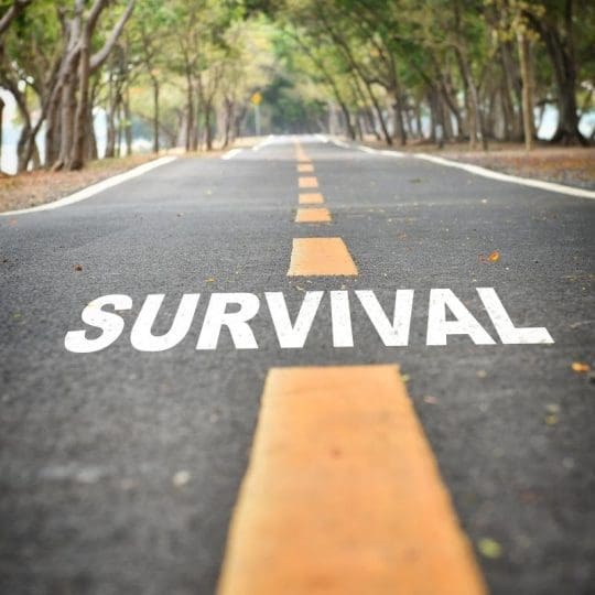 IBS-A survival strategies