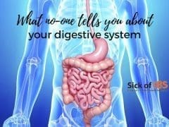 what no-one tells you about your digestive system