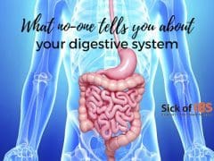 what no-one tells you about your digestive system