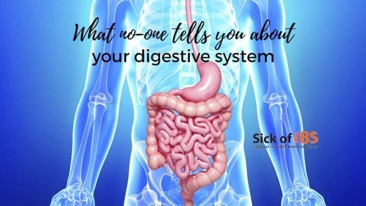 what no-one tells you about your digestive system