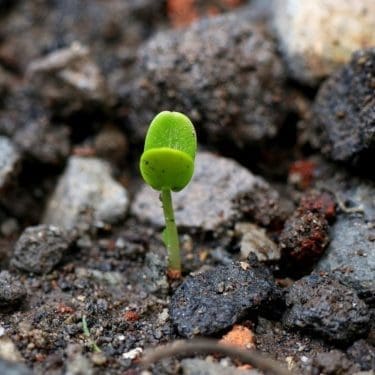 create new possibilities