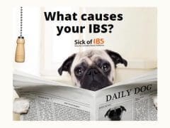 what causes IBS