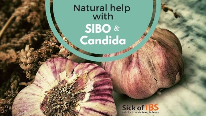 Natural herbal solutions for ongoing digestive issues and IBS