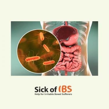 Post-infectious IBS after food poisoning - gut imbalance
