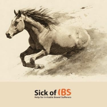 trying to outrun IBS chaos